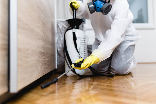 Best Affordable Pest Control Services  in Kennedy, CA