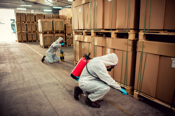 Best Bed Bug Extermination  in Kennedy, CA