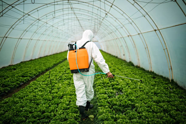 Best Best Pest Control Companies  in Kennedy, CA