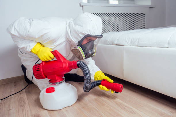 Best Affordable Pest Control Services  in Kennedy, CA