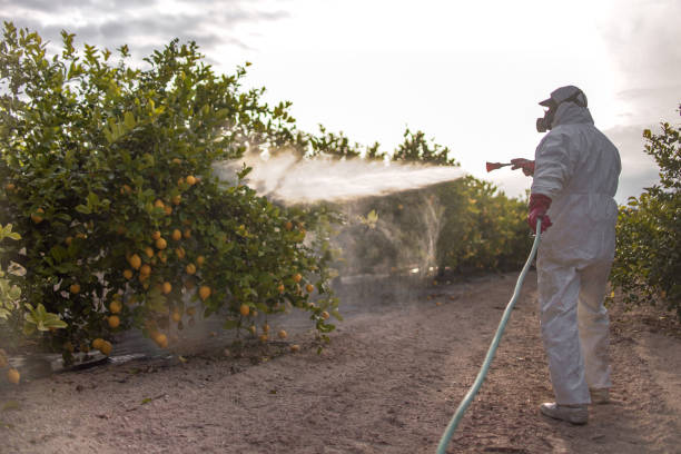 Best Affordable Pest Control Services  in Kennedy, CA