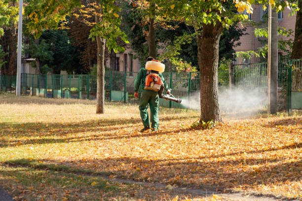 Best Wildlife Control Services  in Kennedy, CA