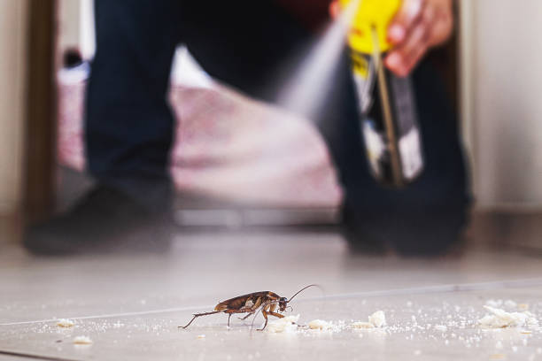 Best Local Pest Control Services  in Kennedy, CA